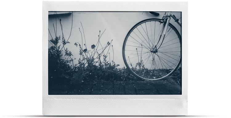 MONO CHROME Image